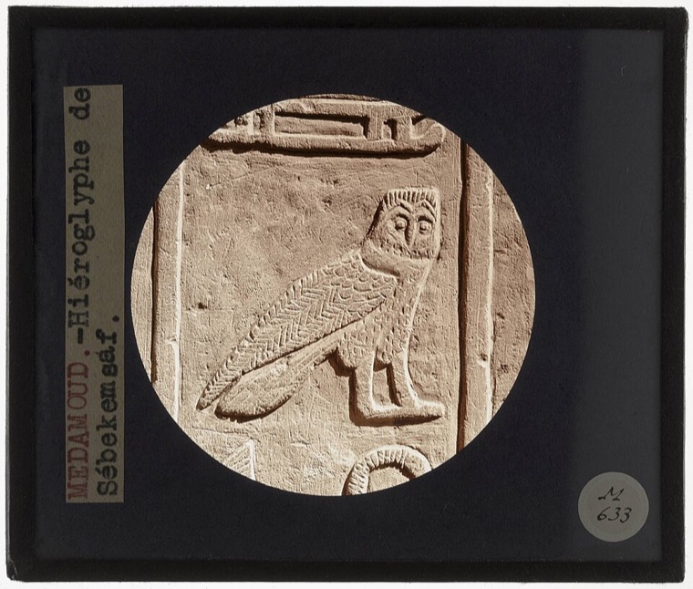 Egypt — The owl hieroglyph