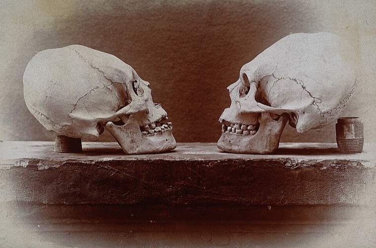 Maya — Cranial shaping